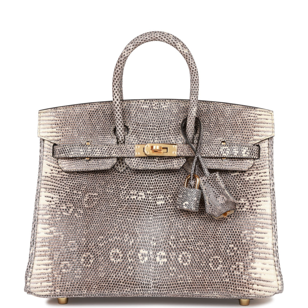 top quality Hermes Birkin 25 Ombre Shiny Salvator Lizard Gold Hardware