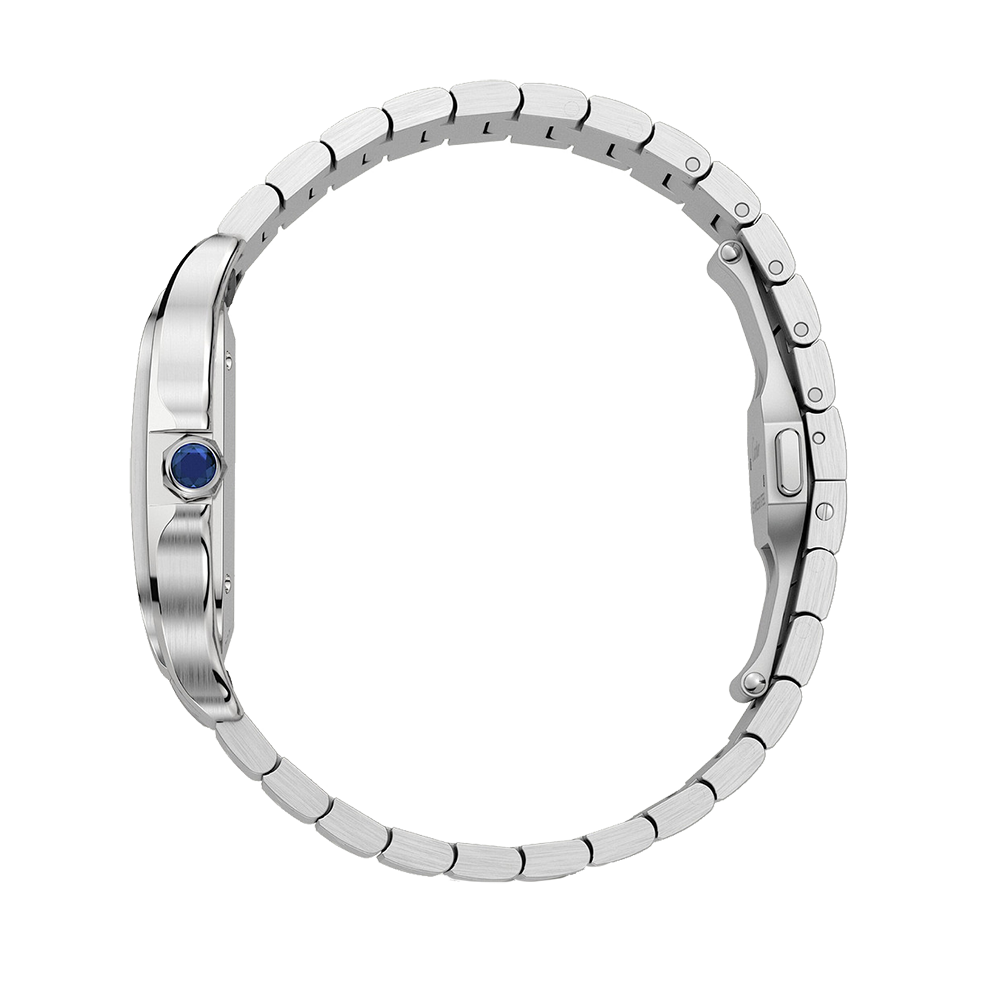 Santos de Cartier Steel Medium Watch WSSA0063