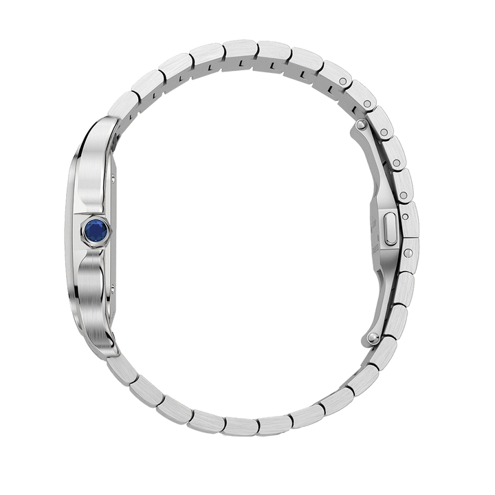 Santos de Cartier Steel Medium Watch WSSA0063