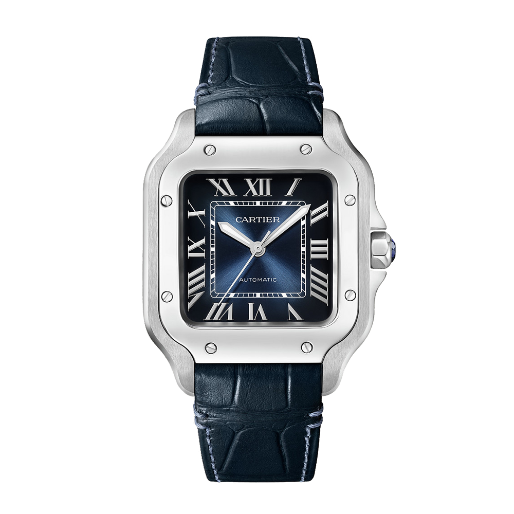 Santos de Cartier Steel Medium Watch WSSA0063