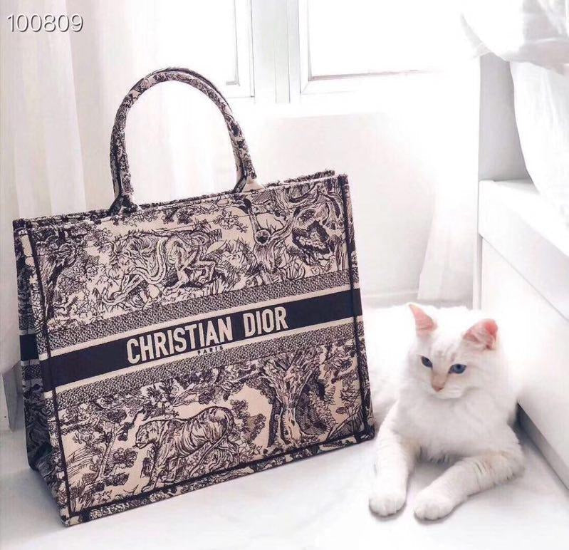 Christian Top quality Dior Tote Bag For Women