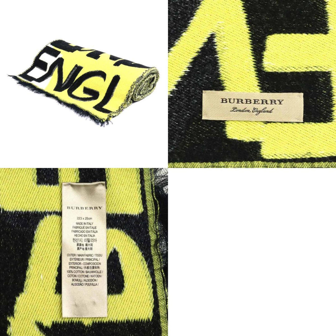 Burberry Scarves