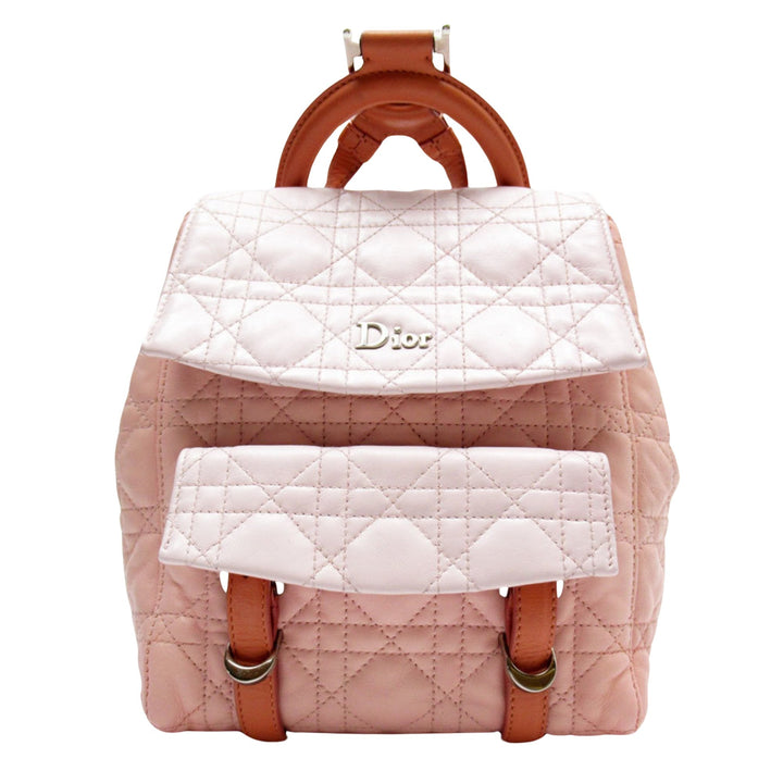 Top quality Dior Backpack