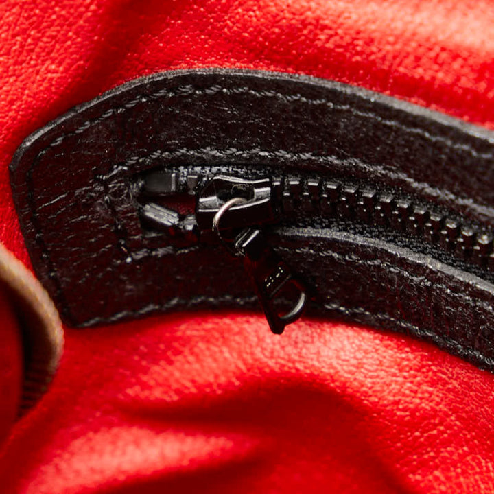 Celine Handbag