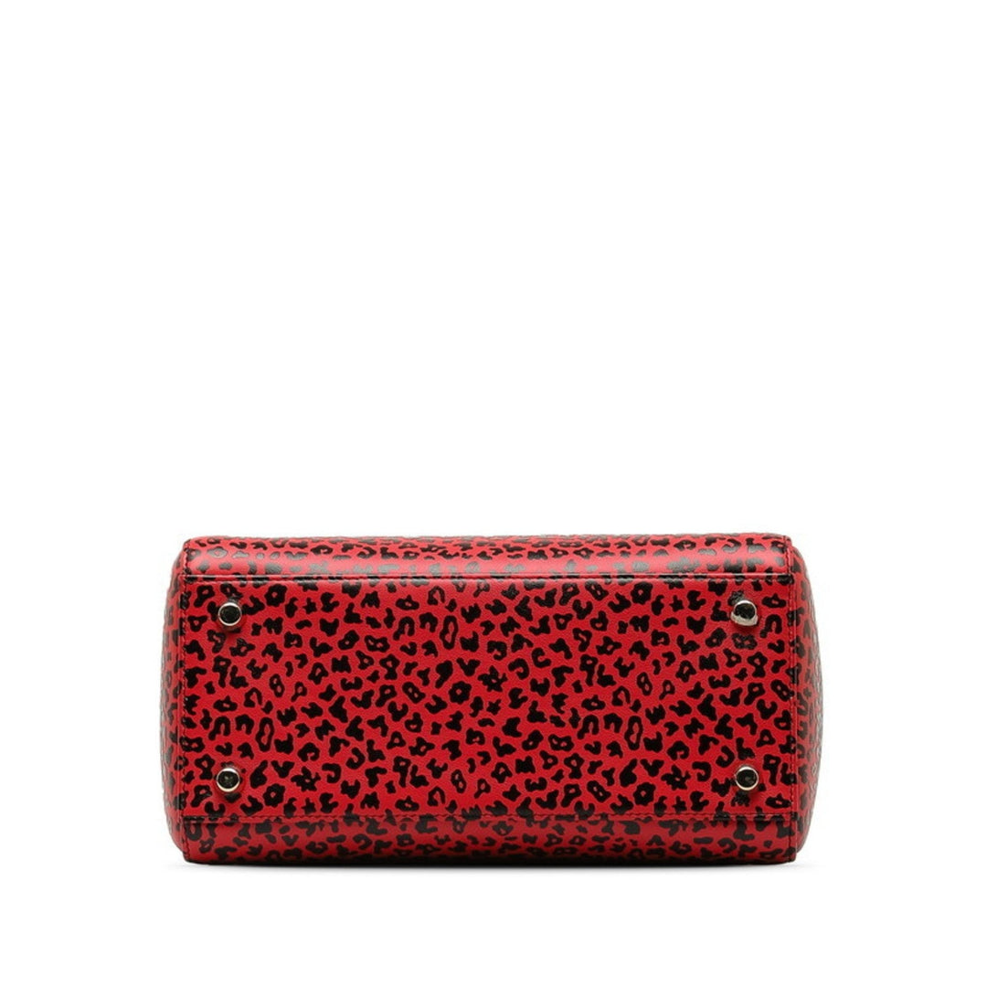 Top quality Dior Lady Top quality Dior Handbag