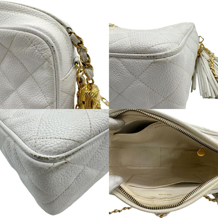 Chanel Camera Shoulder Bag