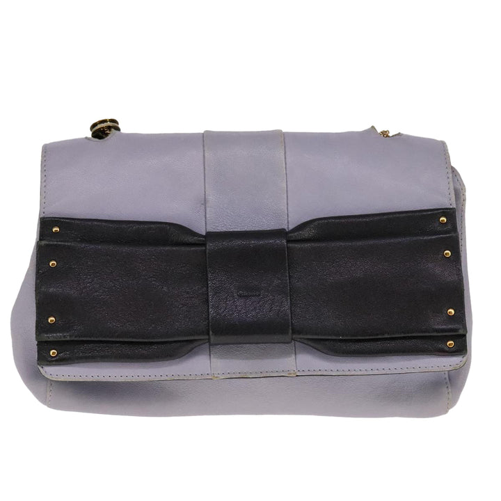 Chloe Chain Shoulder Bag Leather Purple 110018