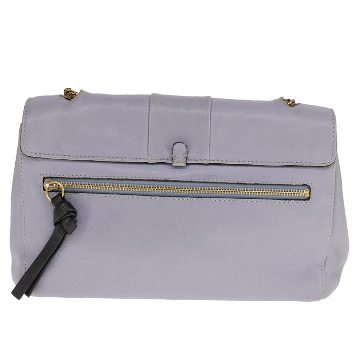 Chloe Chain Shoulder Bag Leather Purple 110018