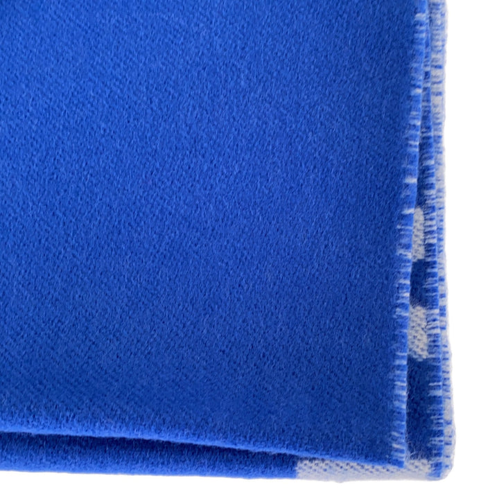 Top Quality Balenciaga Scarves