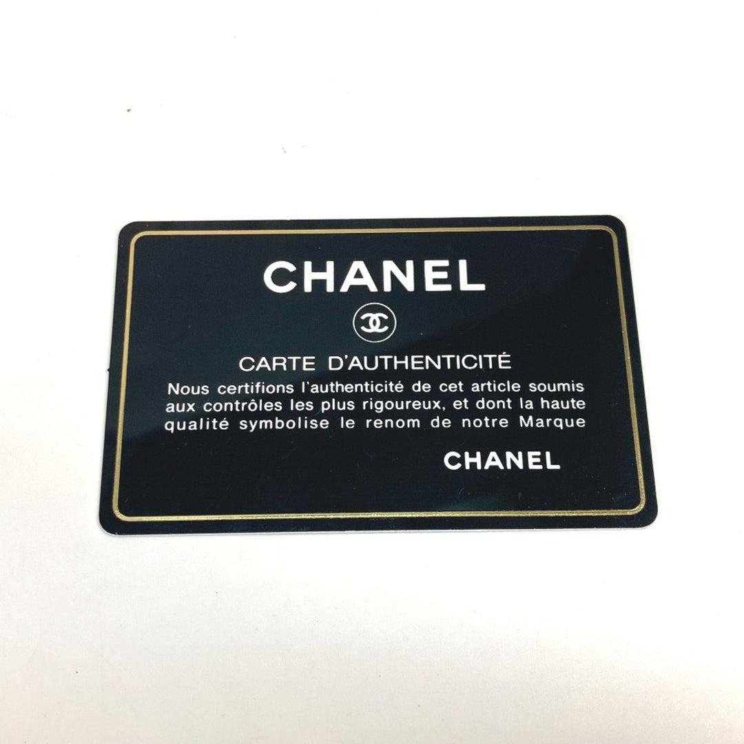 Chanel Wallet On Chain Shoulder Bag