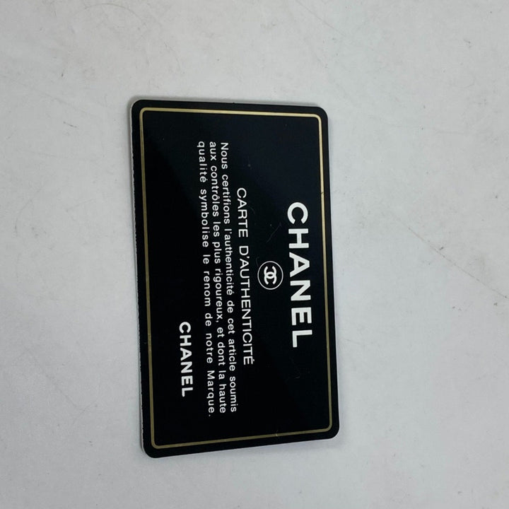 Chanel PST [Petite Shopping Tote] Shoulder Bag