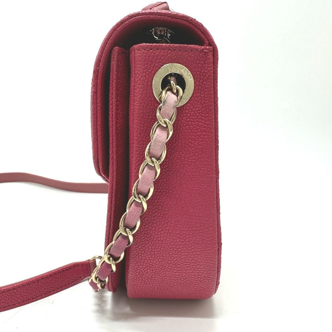 Chanel Coco Cuba Shoulder Bag
