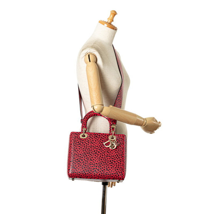 Top quality Dior Lady Top quality Dior Handbag