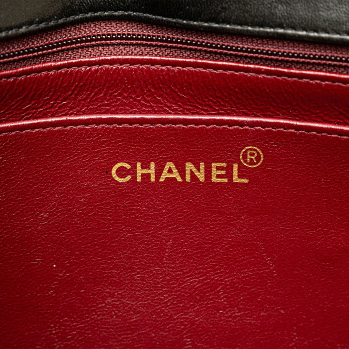 Chanel Diana Shoulder Bag