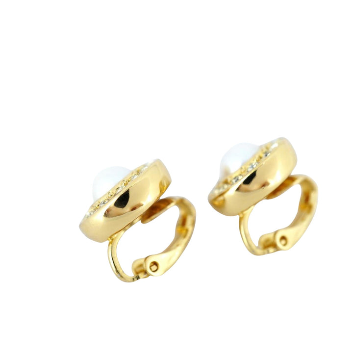 Top quality Dior Earrings