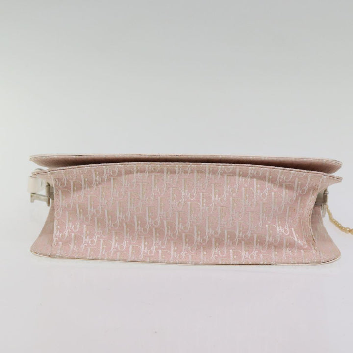 Top quality Dior Trotter Canvas Shoulder Bag Shoulder Bag