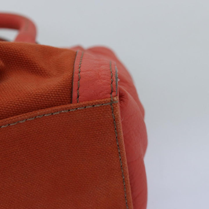 Burberry Blue Label Handbag