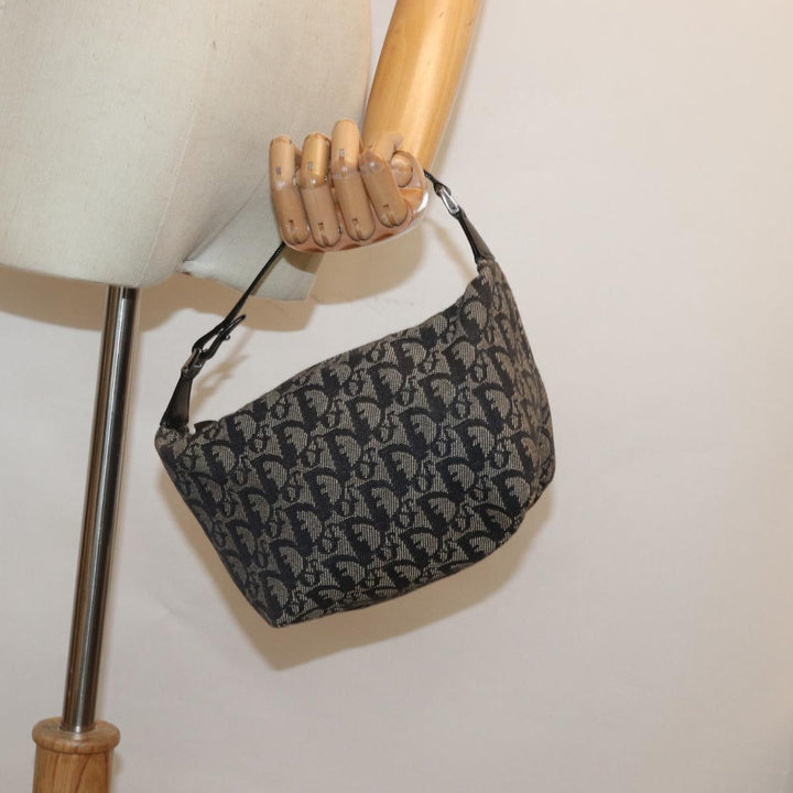 Top quality Dior Trotter Handbag