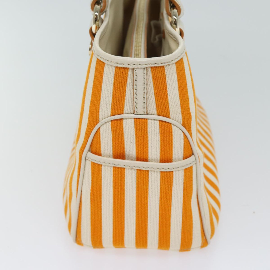 Celine Handbag