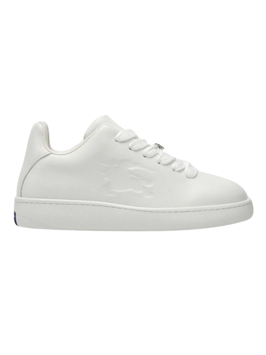 Box Sneakers
