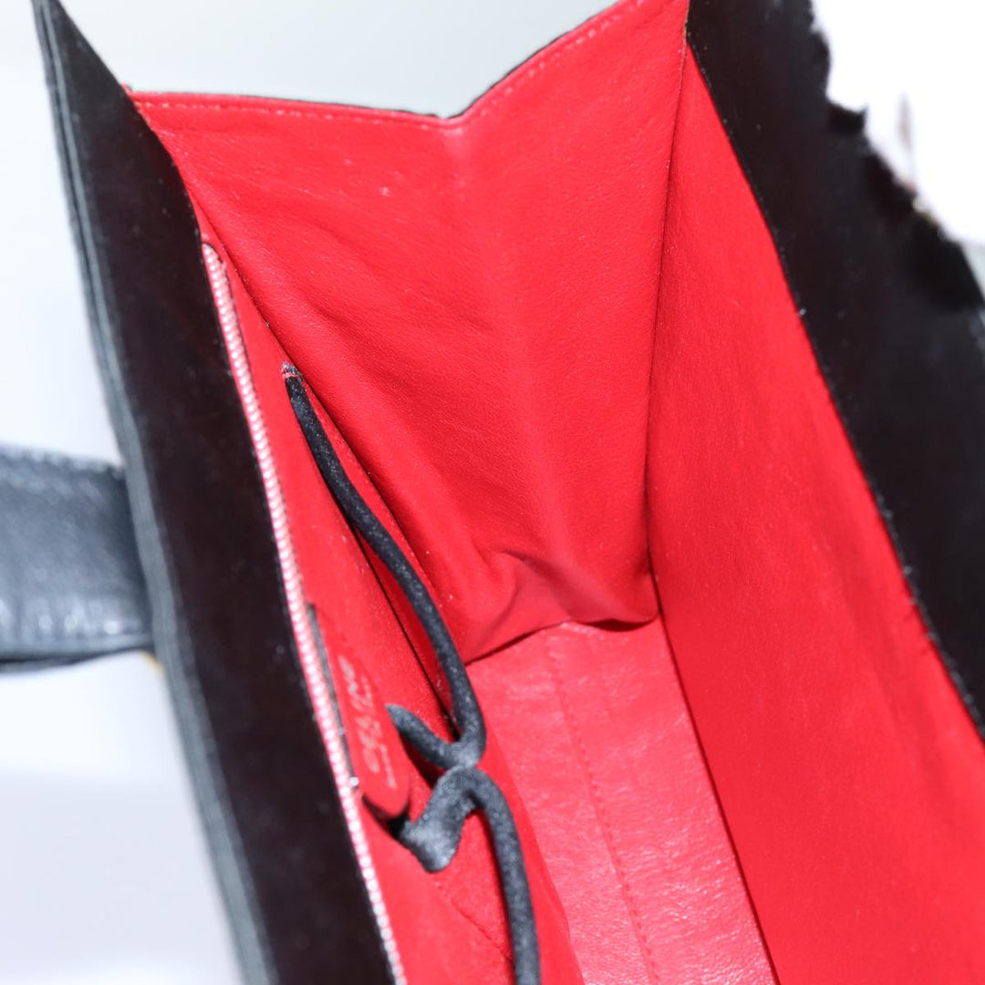 Celine Handbag