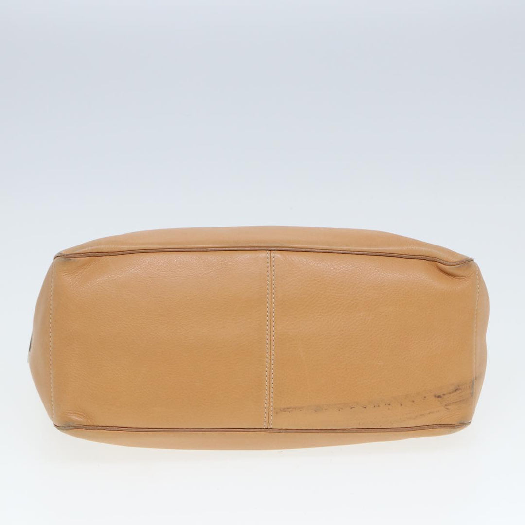 Celine Boogie Handbag