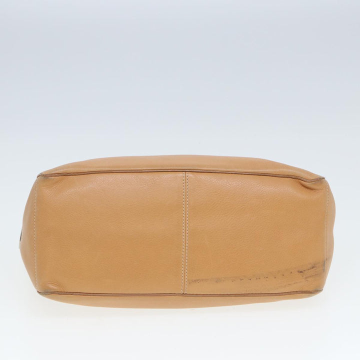 Celine Boogie Handbag