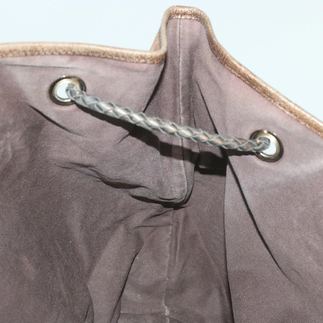 Celine Carriage Tote
