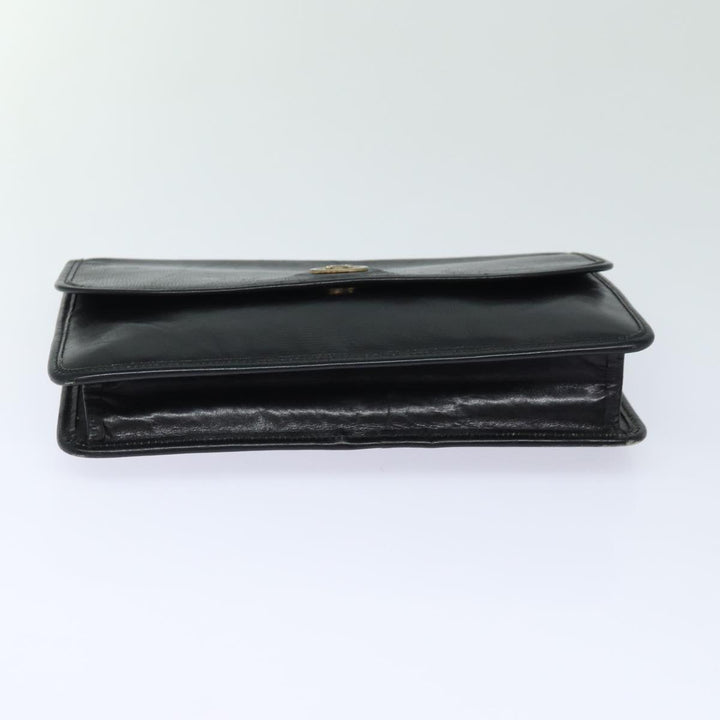 Celine Clutch Bag