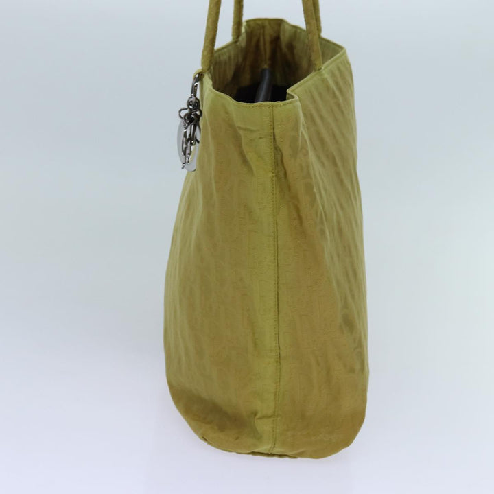 Top quality Dior Trotter Tote