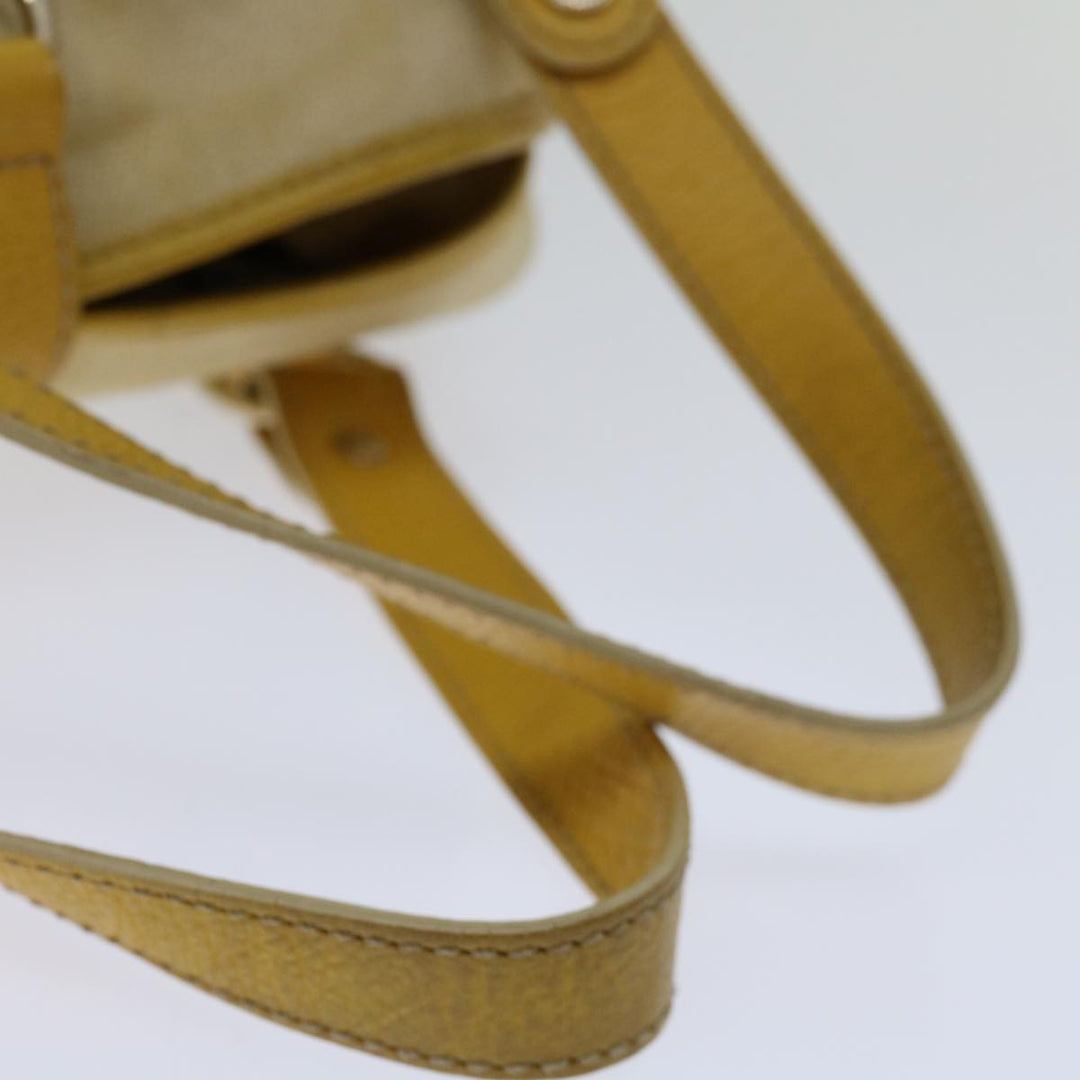 Celine Triomphe Handbag