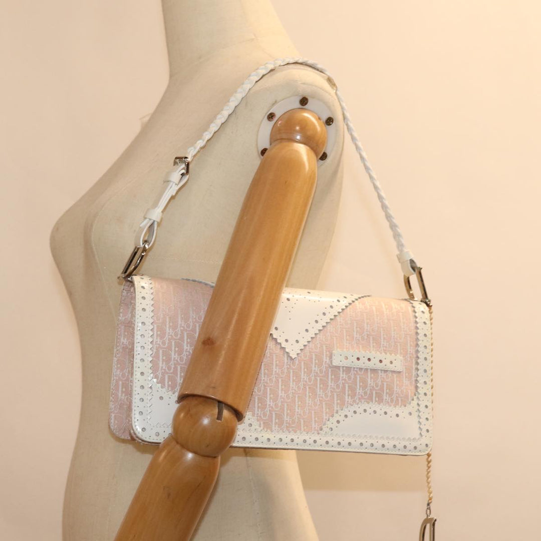 Top quality Dior Trotter Canvas Shoulder Bag Shoulder Bag