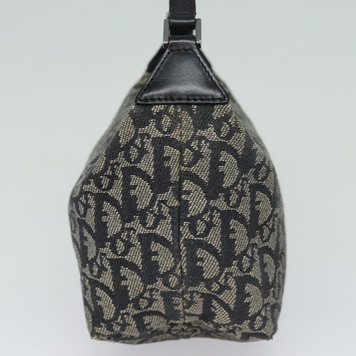Top quality Dior Trotter Handbag