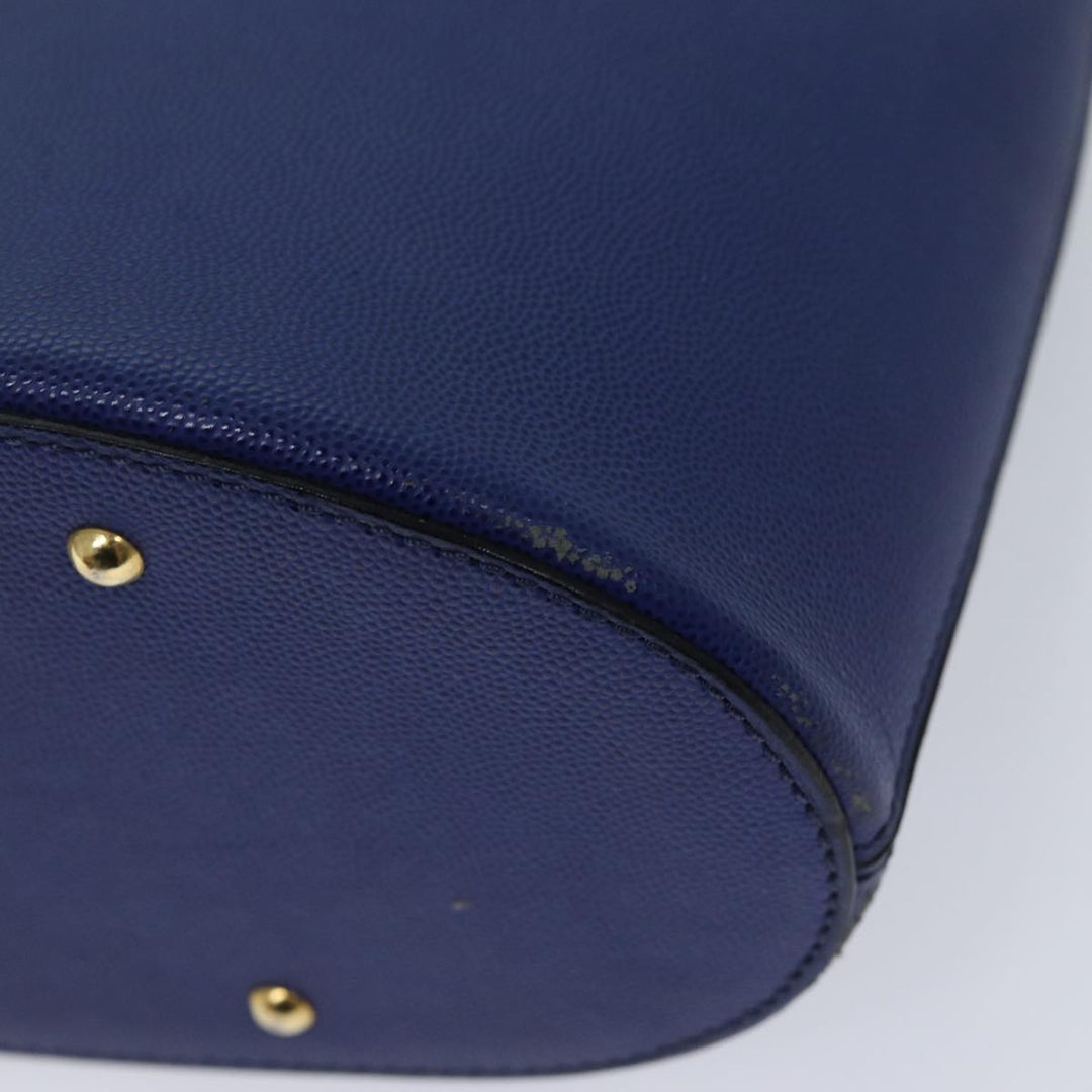 Celine Handbag