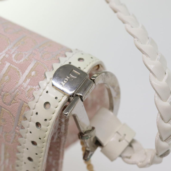 Top quality Dior Trotter Canvas Shoulder Bag Shoulder Bag