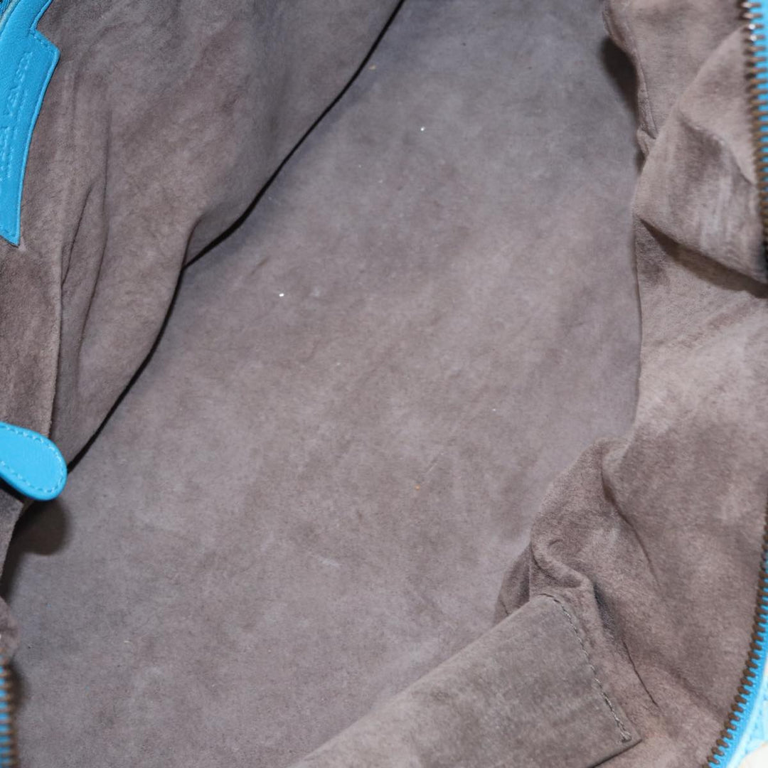 Bottega veneta Intrecciato Handbag