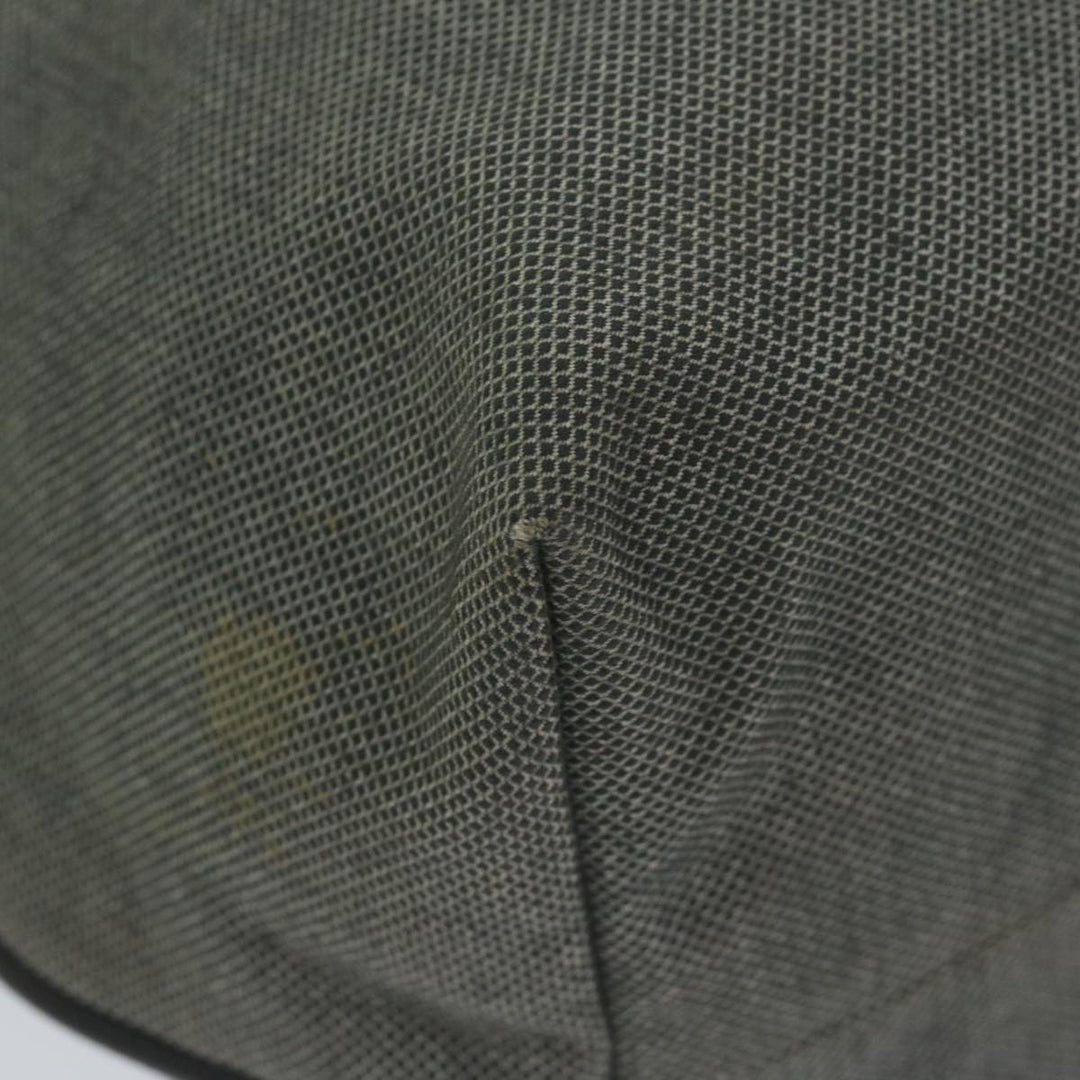 Bottega veneta Cabas Tote