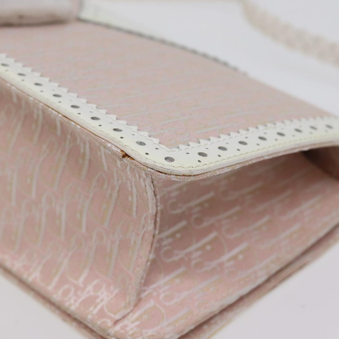 Top quality Dior Trotter Canvas Shoulder Bag Shoulder Bag