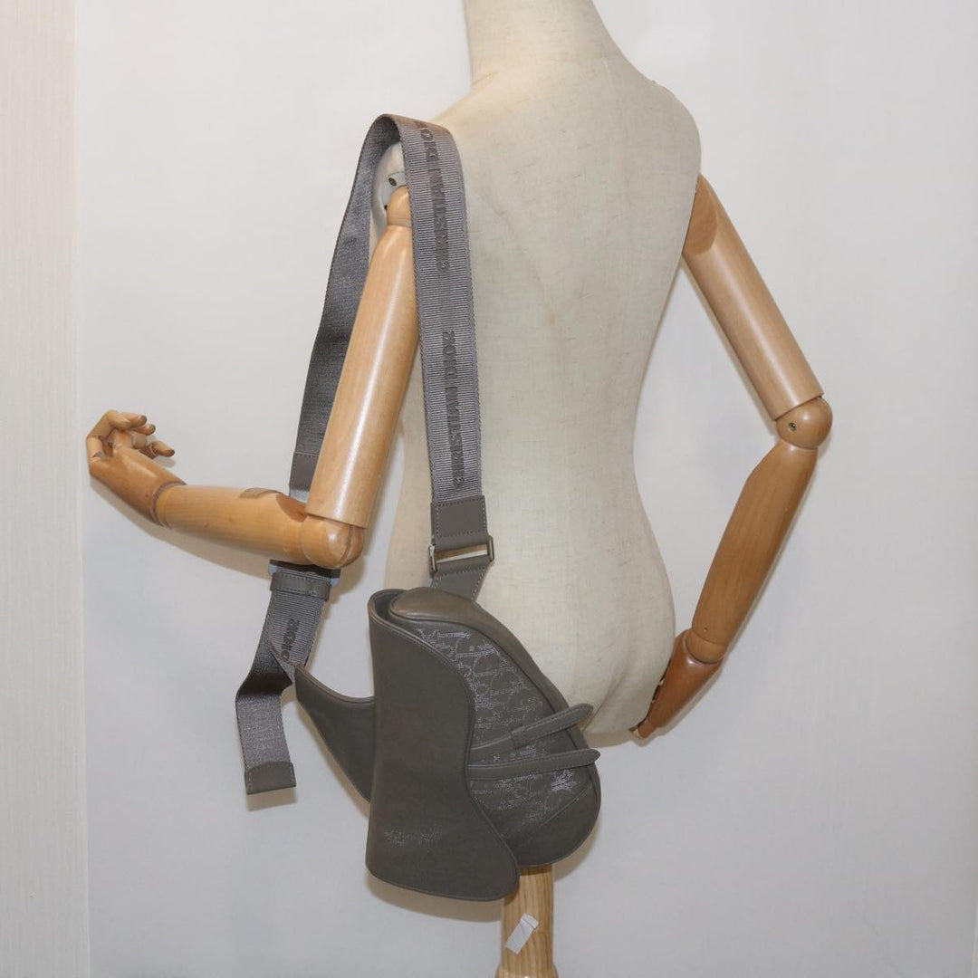 Top quality Dior Saddle Shoulder Bag