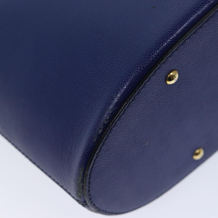 Celine Handbag