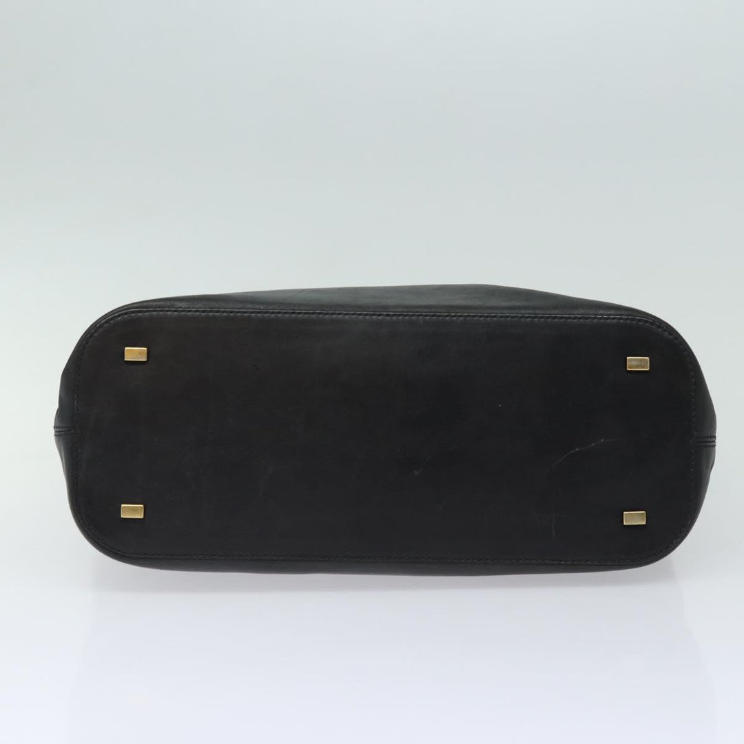 Celine Handbag