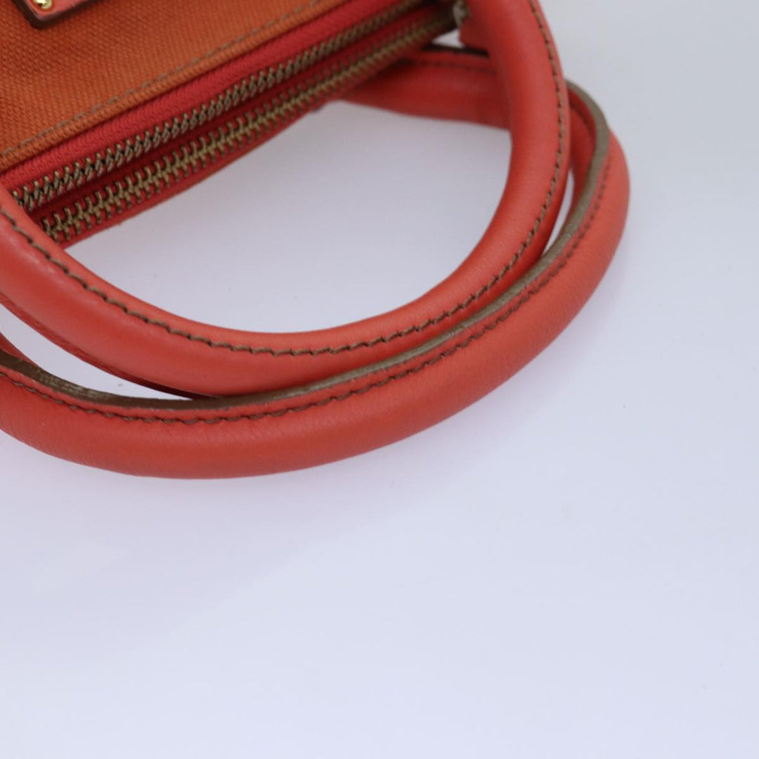 Burberry Blue Label Handbag