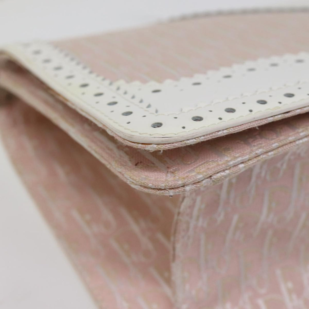 Top quality Dior Trotter Canvas Shoulder Bag Shoulder Bag
