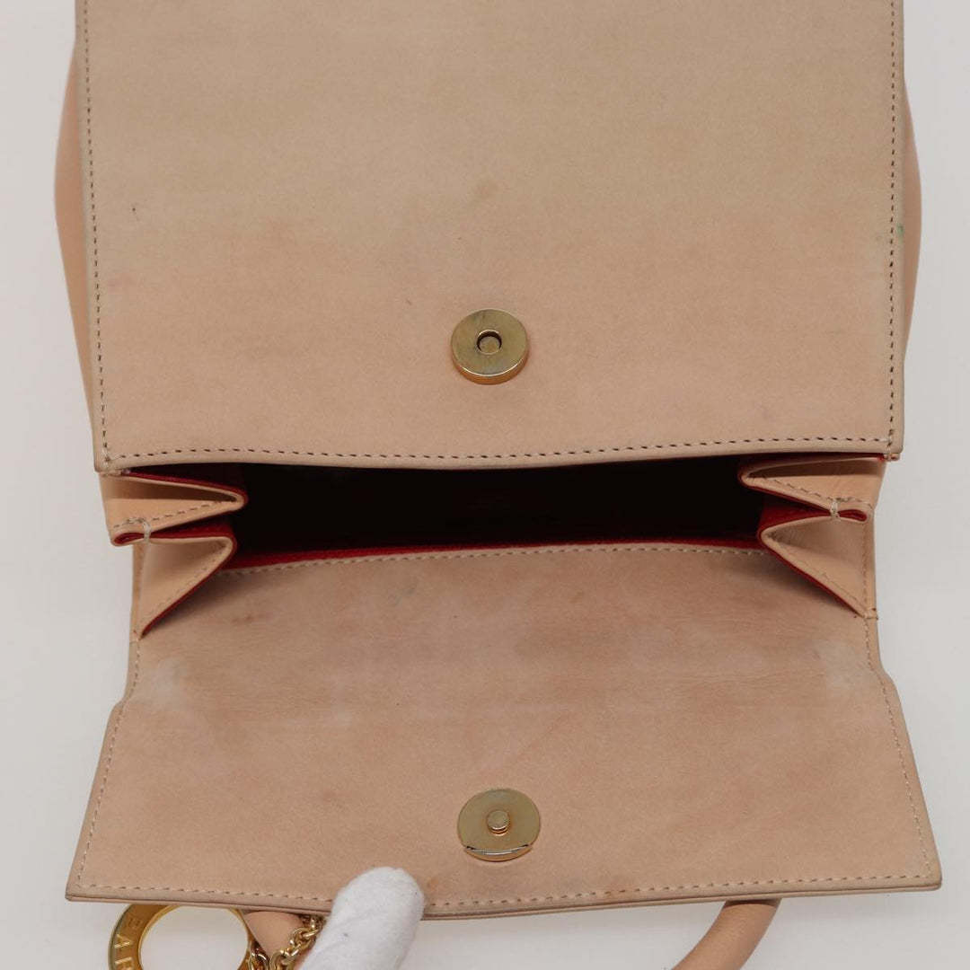 Celine Handbag