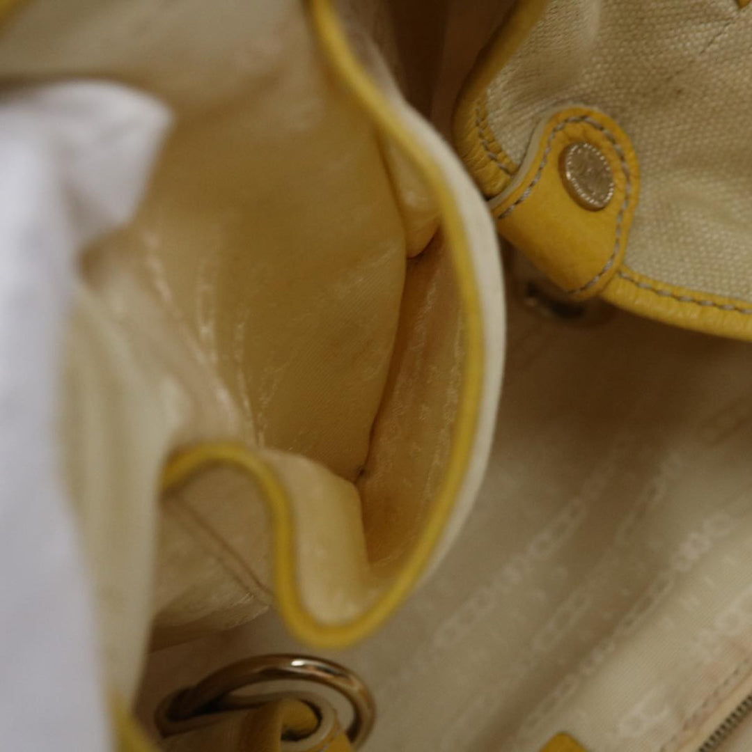 Celine Triomphe Handbag