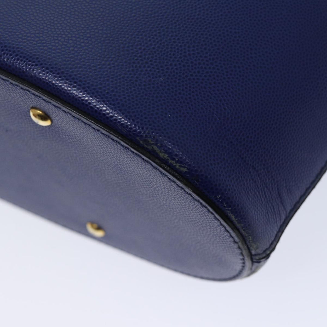 Celine Handbag