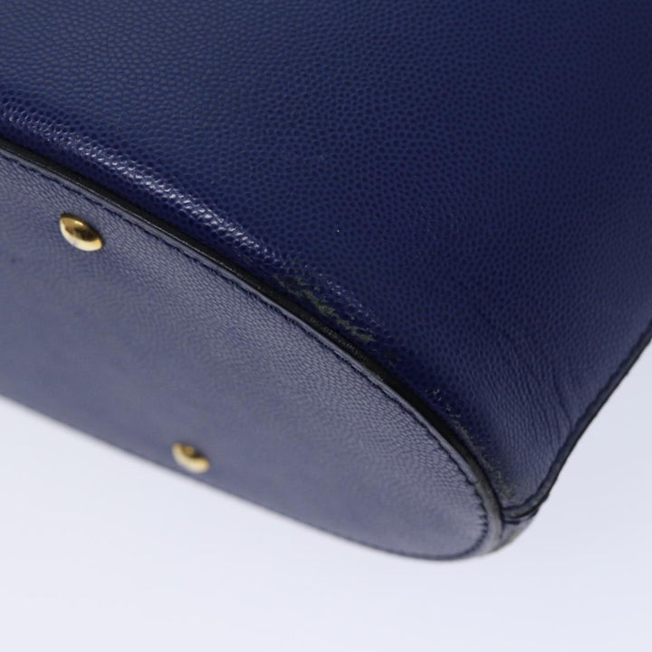 Celine Handbag