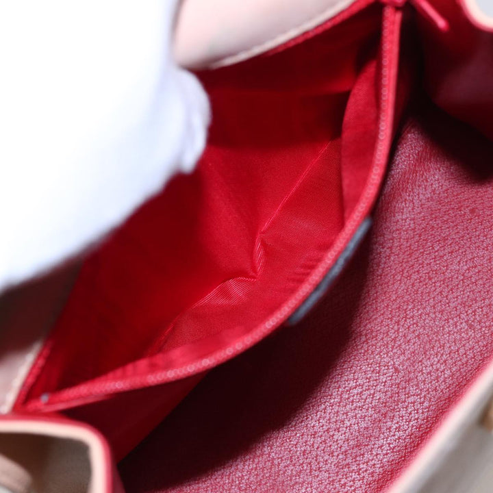 Celine Handbag