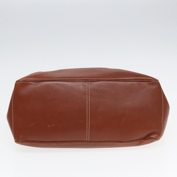 Celine Boogie Handbag