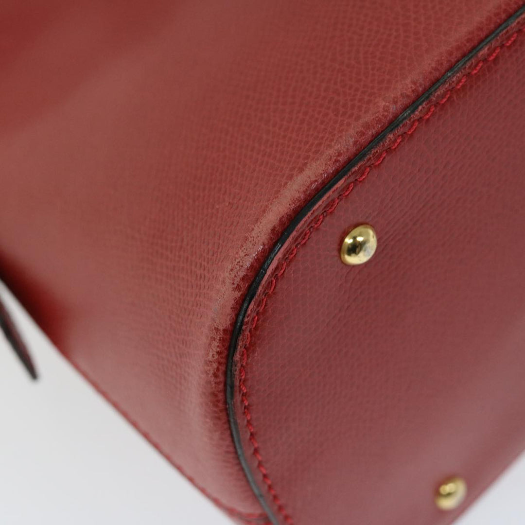 Celine Handbag
